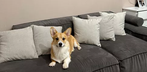 Ванная, шкаф и прихожая в квартире под реновацию