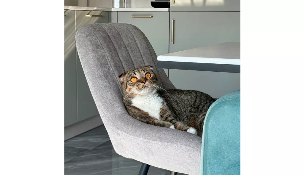 «Это был очень психотерапевтический заказ» - фото №1