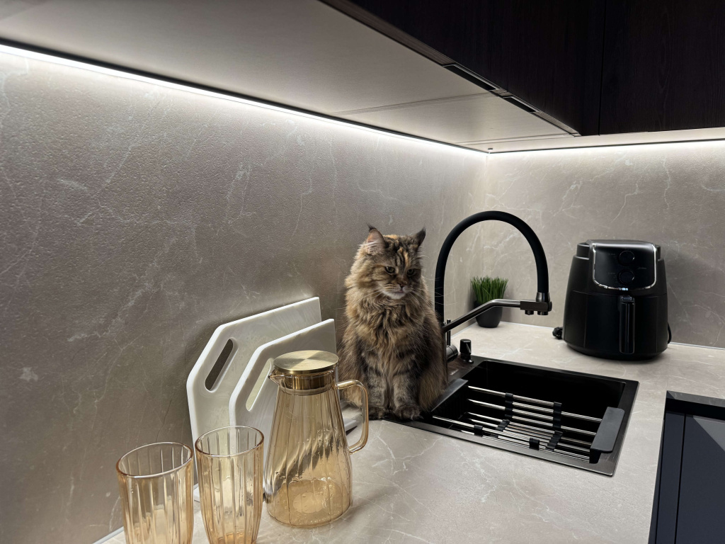 Кухня стала для меня вдохновением - фото №2