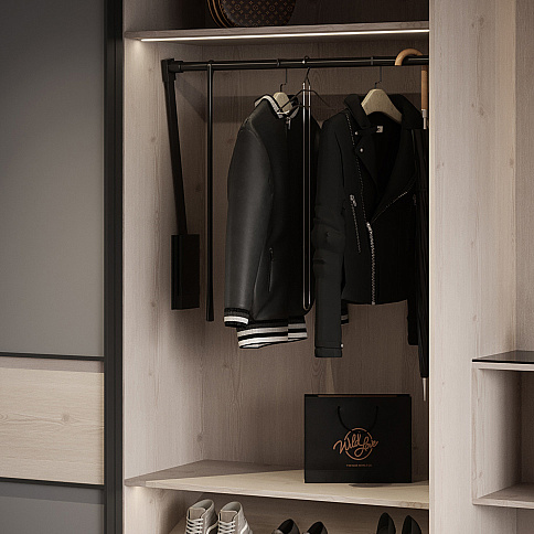 Шкаф-купе в прихожую - детальное фото № 4